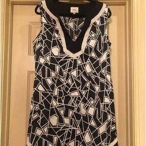 ECI Silk V-Neck Dress